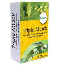 Katyayani Triple Attack (1 Kg x 1 Packet)